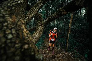 BIB: 
                            <button type="button" onclick="openModal(25697924)" class="btn btn-primary btn-sm float-right btn-popup" data-toggle="modal" data-target=".modal-high-quality">
                        <i class="fas fa-shopping-cart"></i> Add to Cart
                    </button>
                                            <button type="button" onclick="isThisMe(25697924, true)" class="btn btn-success btn-sm float-right btn-popup btn-isme hidden" data-toggle="tooltip" data-placement="bottom" title="นี่คือรูปของคุณใช่ไหม คลิกที่นี่เพื่อเอาเข้าอัลบั้ม">
                        <i class="fas fa-plus"></i> Add to album
                    </button>
                    <button type="button" onclick="isThisMe(25697924, false)" class="btn btn-warning btn-sm float-right btn-popup btn-isnotme hidden">
                        <i class="fas fa-ban"></i> Remove from album
                    </button>